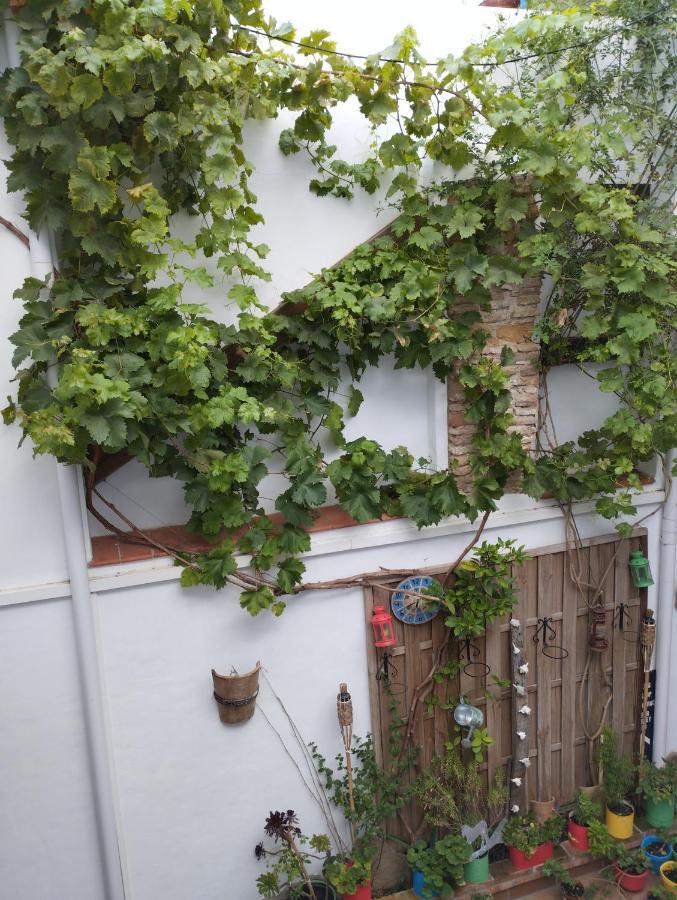Apartamento Eg17 Аркос де ла Фронтера Экстерьер фото